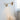 Virean – Modern Wooden Arm Pull Switch LED Wall Lamp